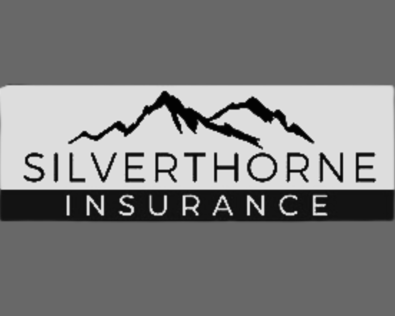 Silver Thorn Insurance